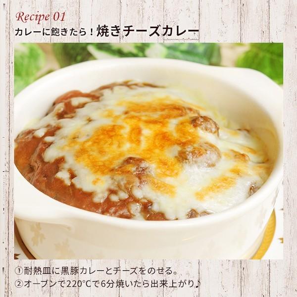 カレー レトルト 黒豚 ポークカレー 中辛 国産  送料無料 鹿児島産  レトルトカレー レトルト食品 グルメ　長期常温保存 黒豚カレー 200g×5パック メール便