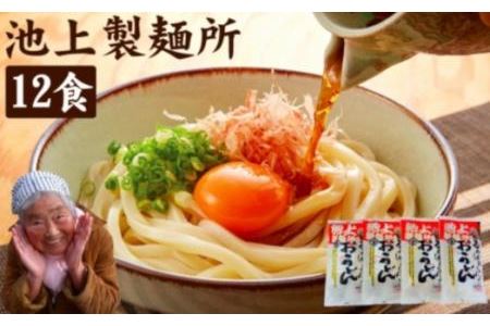 讃岐生うどん12食入（1袋3食入×4袋）＊鎌田醤油だし醤油付＊  池上製麺所監修！｜うどん 生麺