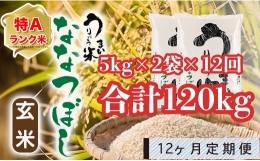 うりゅう米「ななつぼし（玄米）」5kg×2袋 定期便！毎月1回・計12回お届け