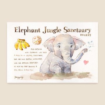 泰國小象 水彩旅行明信片單張