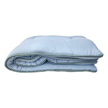 LAMINA 樂米娜 防蹣抗菌日式床墊 105 x 186 x 5cm  單人加大  單色