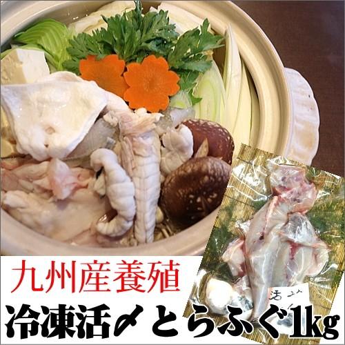 活〆とらふぐ1ｋｇ 冷凍 (約6人前)九州産養殖 