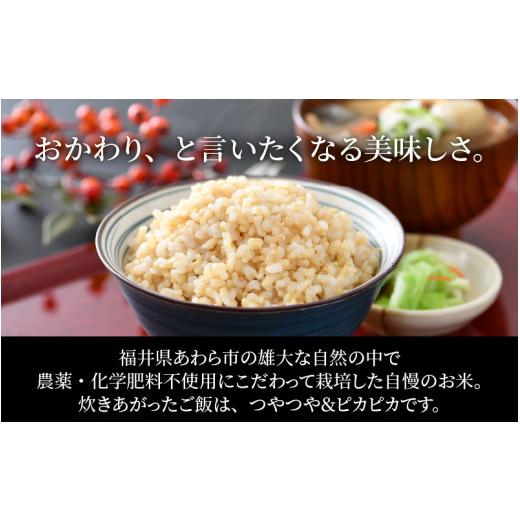 ふるさと納税 福井県 あわら市 令和5年産新米 ミルキークイーン 玄米 10kg(5kg×2袋） 特別栽培米 農薬不使用 化学肥料不使用 ／ 高品質 鮮度抜群 福井県産 ブ…