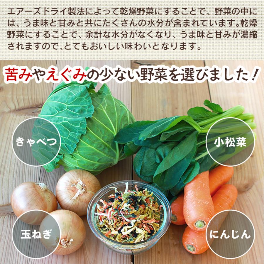 乾燥野菜ミックス 国産 味噌汁の具 乾燥 ラーメン具材 常備菜 玉ねぎ にんじん キャベツ 小松菜 時短料理 一人暮らし スープ 汁物 ドライベジ