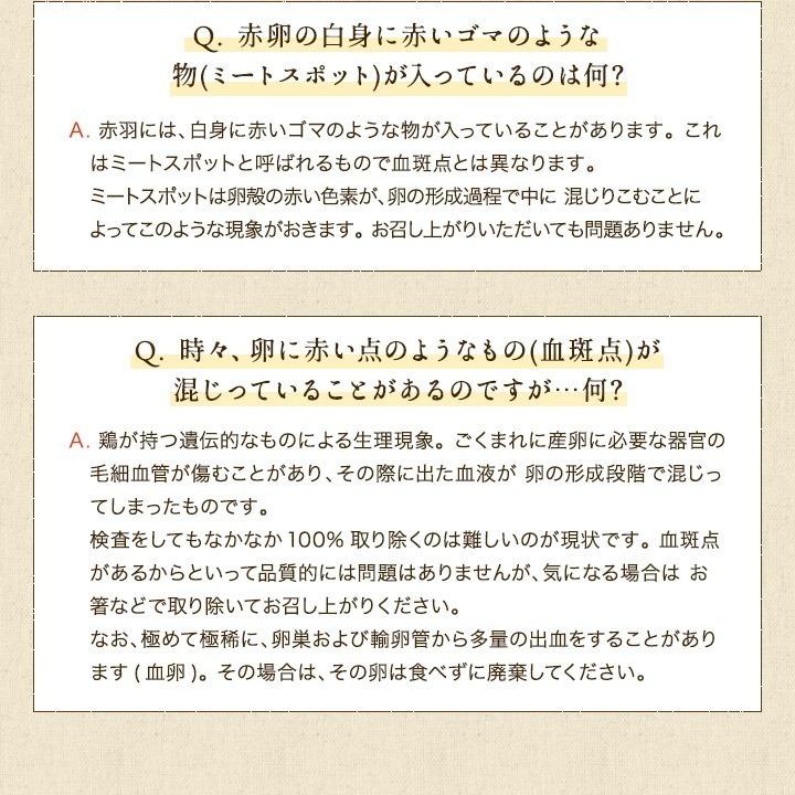 櫛田養鶏場 くしたま 10個入 (白卵)