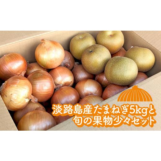 ふるさと納税 兵庫県 淡路市 淡路島産たまねぎ5kgと旬の果物少々セット