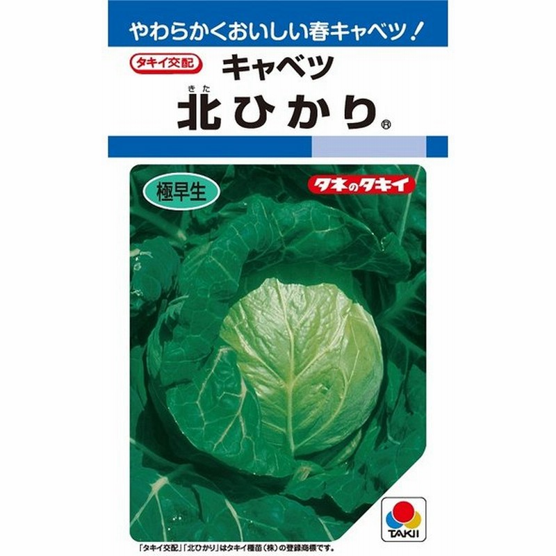 北ひかり キャベツ種子 1 8ml タキイ種苗 通販 Lineポイント最大0 5 Get Lineショッピング