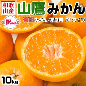 山鷹みかん 10kg 訳あり 2Lサイズ(有田みかん) 家庭用・傷ありお歳暮・お正月・クリスマスギフト