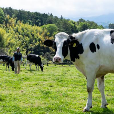 ふるさと納税 高森町 いちだヨーグルト(ドリンクタイプのみ)×18本