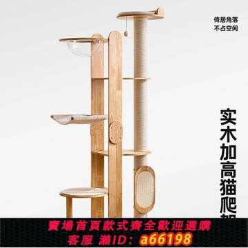 【台灣公司 可開發票】實木貓爬架家用貓窩貓樹一體劍麻抓柱太空艙跳臺架子緬因大貓專用