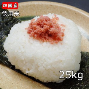 米 25kg 送料無料 徳用米25kg (10kgX2 5kg) 業務用  ※北海道,東北,沖縄除く