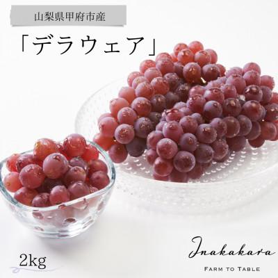 ふるさと納税 甲府市 Inakakaraの「デラウェア」2kg