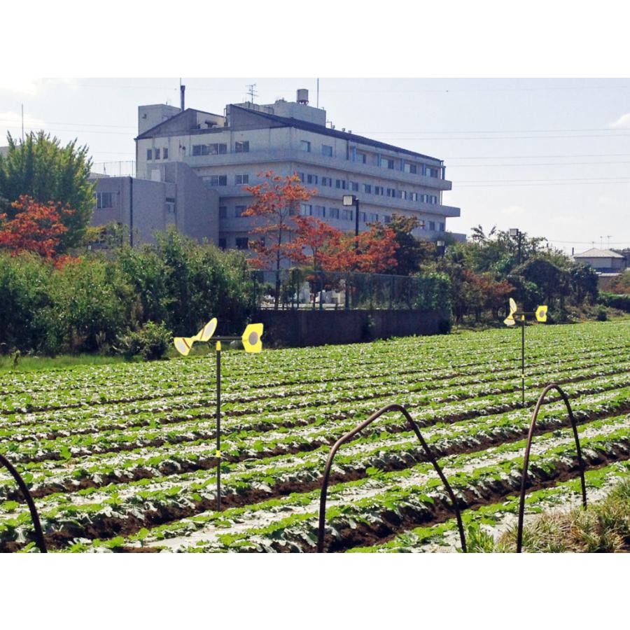 ミツギロン MITSUGIRON スーパーとりモグラキラキラー 振動 反射 鳥よけ モグラ 鳥獣害対策 忌避 羽根