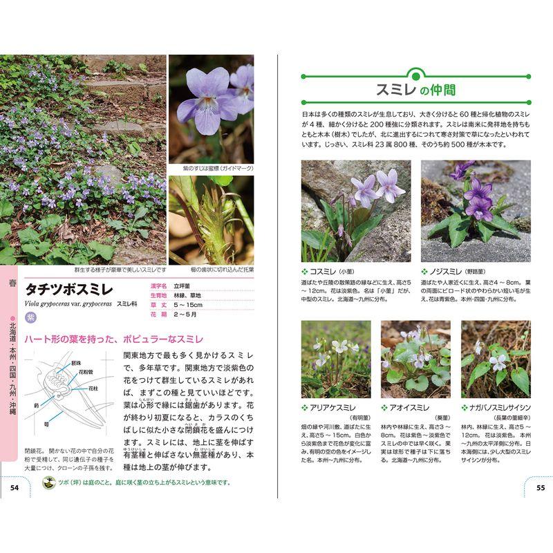 自然散策が楽しくなる 草花・雑草図鑑