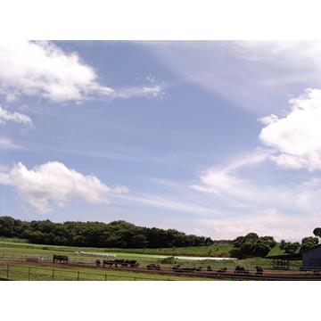 鳥山畜産食品 赤城牛 希少部位ザブトン 肩ロース芯焼肉用