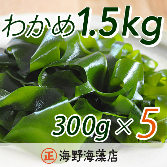 しゃきしゃき 湯通し塩蔵わかめ 1.5kg （300g×5パック） 国産 三陸産 海野海藻店 わかめ 塩蔵わかめ 湯通し不要