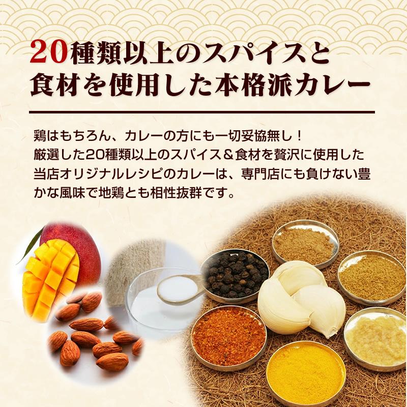 九州のごちそう便特製 地鶏カレー200ｇ x 3パック レトルトカレー レトルト食品 グルメ 常温 長期保存 はかた地鶏 手羽元 お取り寄せ