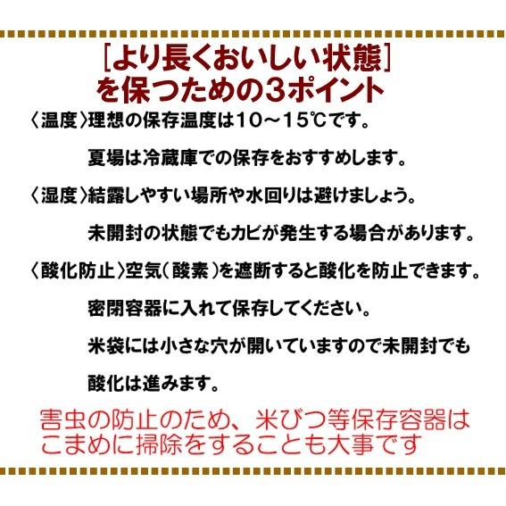 新米 令和５年 米 お米 10kg 5kg×2 新潟 コシヒカリ 白米 精米 農家直送 糸魚川 能生米 送料無料