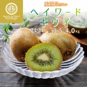 [予約 11月10日-12月31日の納品]   ヘイワードキウイ 約3.5-4.0kg 2L3Lサイズ 愛媛県産 他 果物専用箱