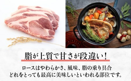 すっきり上質な脂身！長崎のブランド豚 諫美豚(かんびとん)のロースステーキセット800g