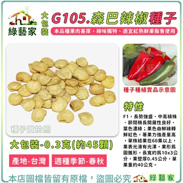 【綠藝家】大包裝G105.森巴辣椒種子0.3克(約45顆) F1 長勢強盛 中高植株 果色由鮮綠轉鮮紅色 著果