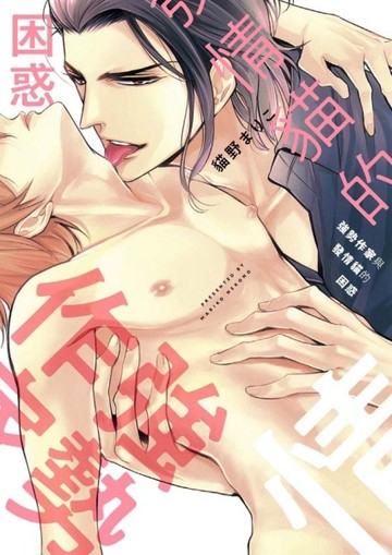 強勢作家與發情貓的困惑（全）[二手書_全新]