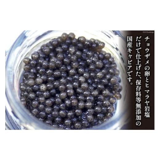 ふるさと納税 宮崎県 日向市 日向キャビア(Hyuga Caviar) 20g(冷凍・フレッシュキャビア) [宮崎キャビア 宮崎県 日向市 452060323]