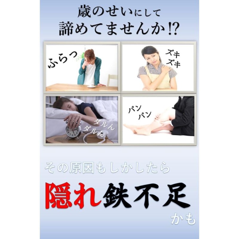 鉄分補給 ザ・鉄玉子 薄型 TRAUM限定説明書付き | LINEショッピング