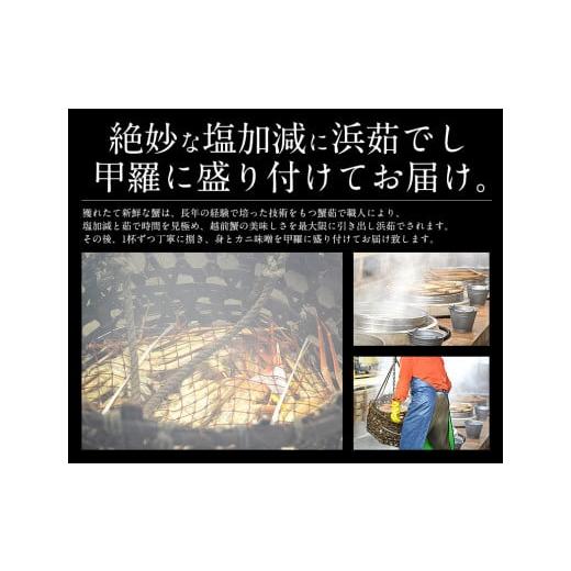 ふるさと納税 福井県 敦賀市 [3月発送]ズワイ甲羅盛り（1個）とセイコ蟹甲羅盛り（2個）セット【敦賀 塩荘 しおそう ずわいがに ズワイガニ せいこ セコ カニ…