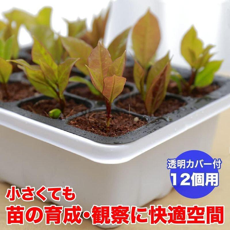 TKY 育苗ポット 育苗トレイ 種まき 家庭菜園 園芸用品 育苗箱 苗箱 植物 発芽 プランター 12穴 セット