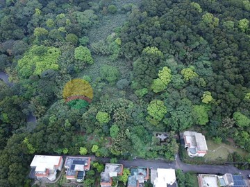@陽明山臨巴拉卡公路-藝術家的櫻花農地-櫻花山莊｜新北市三芝區巴拉卡段