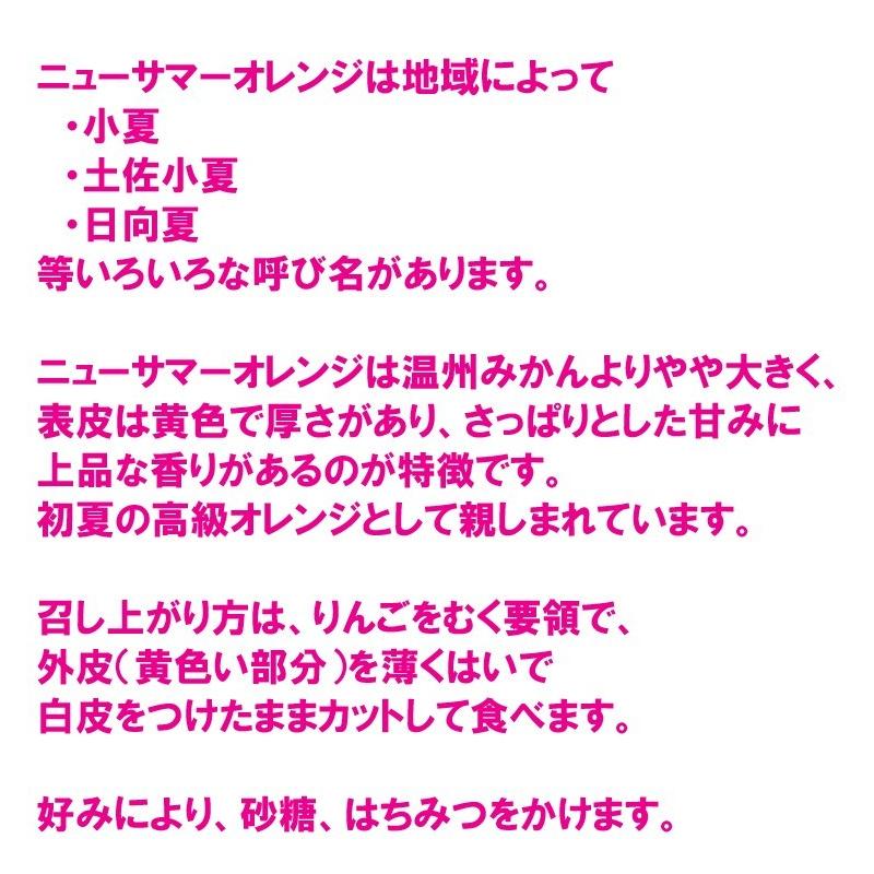 愛媛西宇和産　ニューサマーオレンジ（小夏　日向夏）　訳あり家庭用　５ｋｇ 送料無料　産地直送