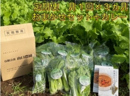 定期便 ３ヶ月 山口農園 有機野菜 おまかせセット＋カレー２箱 詰合せ 冷蔵 月１回 ／ オーガニック 伝統野菜 レトルトカレー 奈良県 宇陀市