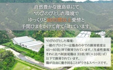 阿波尾鶏 バターチキンカレー 10人前 180g×10パック 国産 鶏肉 地鶏 あわおどり むね肉 カレー