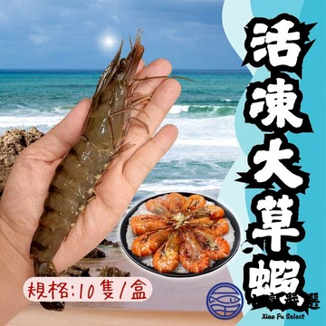 【小富嚴選】草蝦 活凍草蝦 生草蝦 生鮮草蝦 鮮凍大草蝦 (250g/盒10隻) 烤蝦 生白蝦 鹽酥蝦