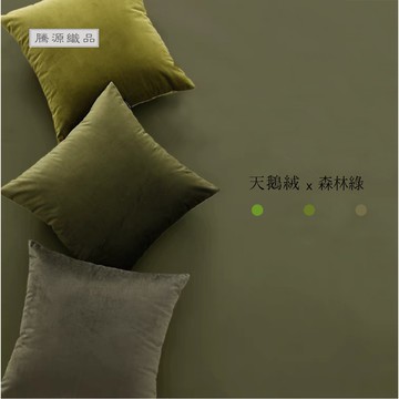 【騰源織品｜24hr出貨】素色天鵝絨草綠色系抱枕套|共6色| 40x40 | 45x45 | 50x50 | 60x60