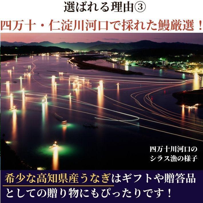 高知県産 うなぎ 蒲焼き 四万十川 仁淀川 食べ比べ 無投薬 国産  各2本  ギフト 贈答