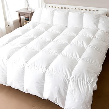 C.G.&C. S.M.C. 凱蕾絲帝 耐寒5度C羽絨毛被 專櫃級澎柔  雙人  白色