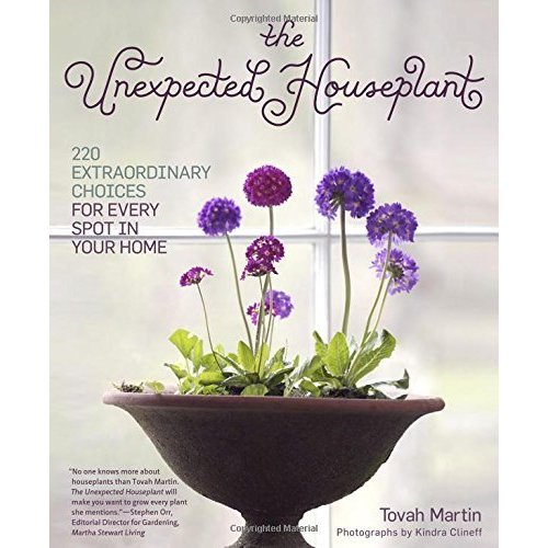 The Unexpected Houseplant: 220 Extraordinary Choices for Every Spot in Your Home