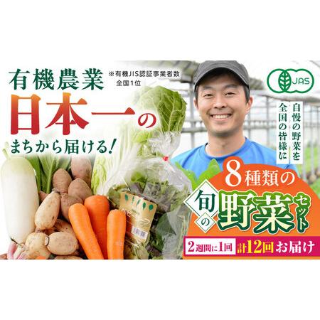 ふるさと納税 有機野菜 8種セット 詰め合わせ 野菜詰め合わせ 熊本県産有機野菜 山都町産有機野菜 産地直送 高原野菜 新鮮.. 熊本県山都町