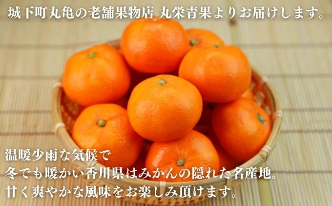 のどかな讃岐路で育った温州みかん 約10kg