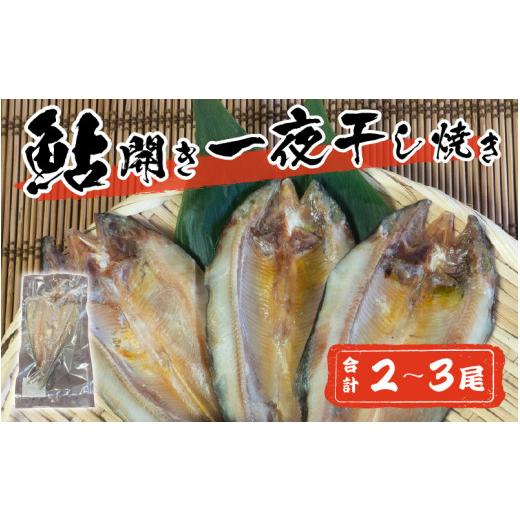 ふるさと納税 福井県 永平寺町 鮎開き一夜干し焼き 2〜3尾 [A-016007]