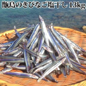 甑島の きびなご塩干し 13kg(1kg×13)鹿児島産 国産 塩干 天日干し 干物 おつまみ キビナゴ 冷凍