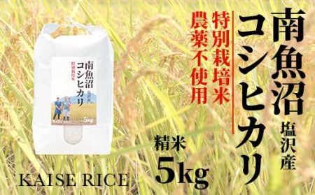 南魚沼産塩沢コシヒカリ（農薬不使用）精米５ｋｇ×全６回