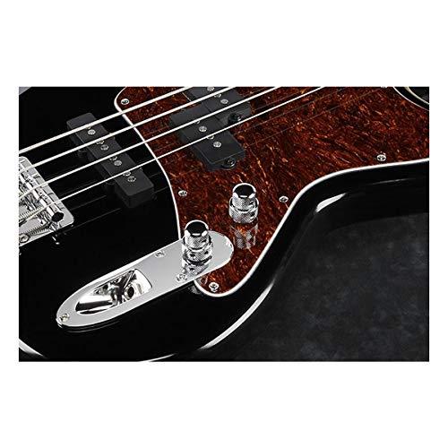 Ibanez アイバニーズTMB 105ブラックタルマン5弦ベースギター