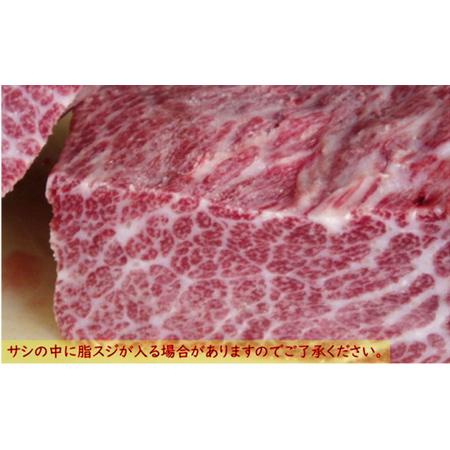 ふるさと納税 霜降り鯨肉 熟成尾肉（尾の身）切り落とし500g mi0012-0045 千葉県南房総市