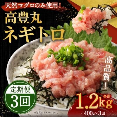 ふるさと納税 室戸市 高豊丸ネギトロ400g