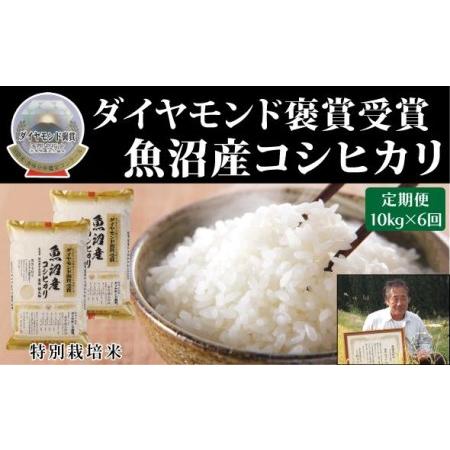 ふるさと納税 魚沼産こしひかり　 １０kg（5kg ×２）×全6回 新潟県