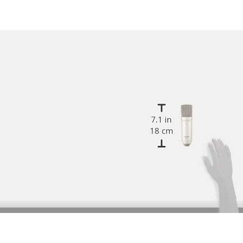 TASCAM コンデンサーマイクロホン TM-80