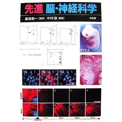 先進　脳・神経科学／高坂新一，中村俊